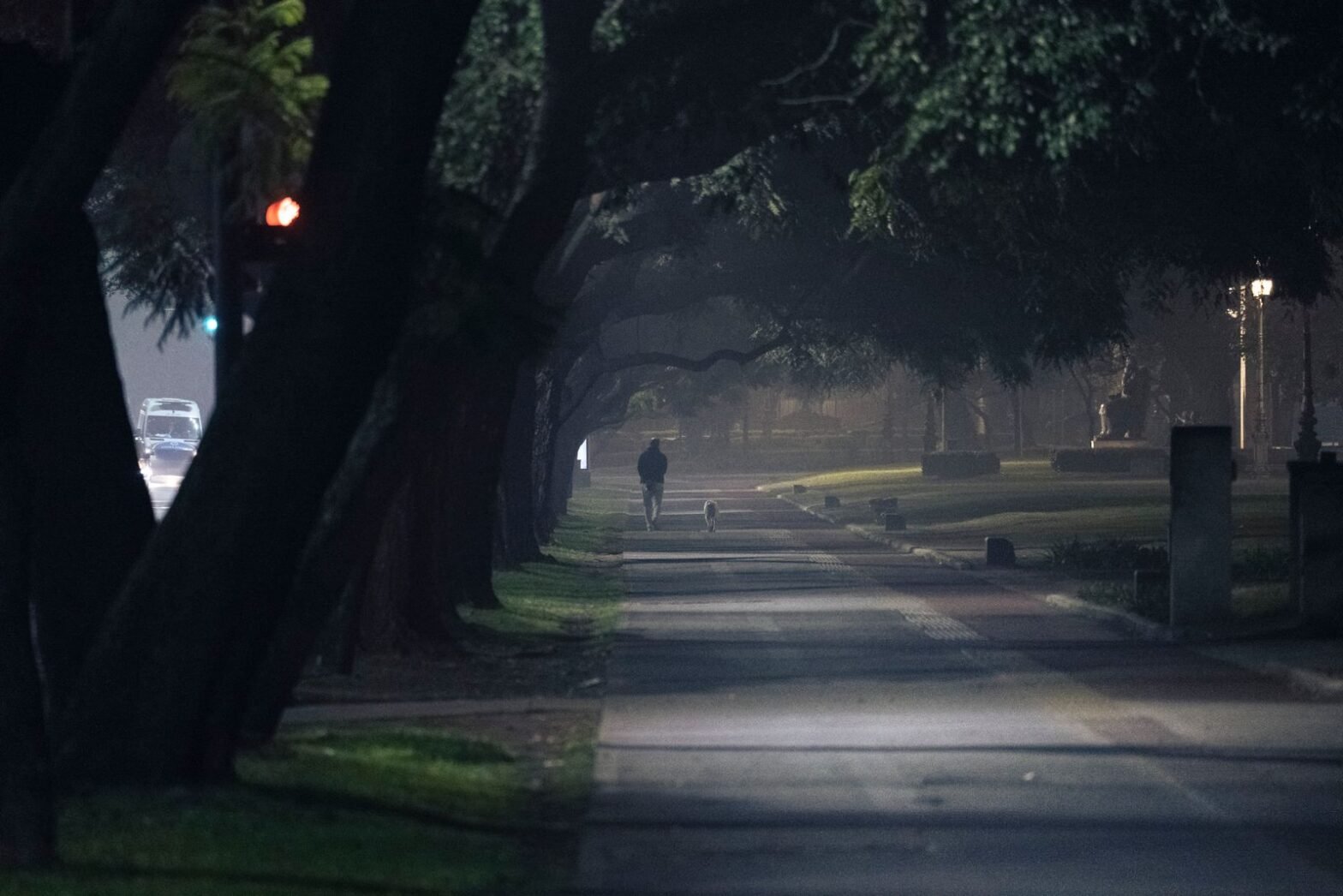 A person walking a dog along a dark tree-lined street at night as a vehicle approaches, the kind of evening walk Cedar Hills owners face after the clocks go back